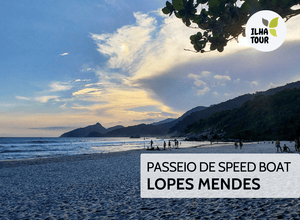 Roteiro Lopes Mendes